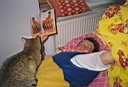 tn_2002_slatinany.jpg