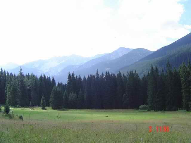 tn0003.jpg