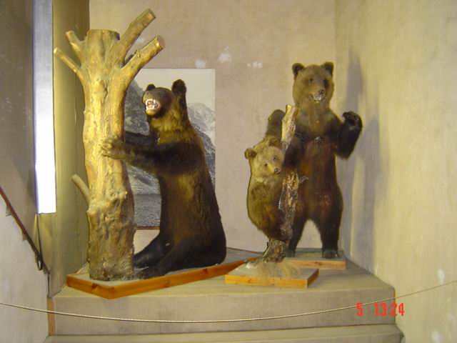 tn0023.jpg