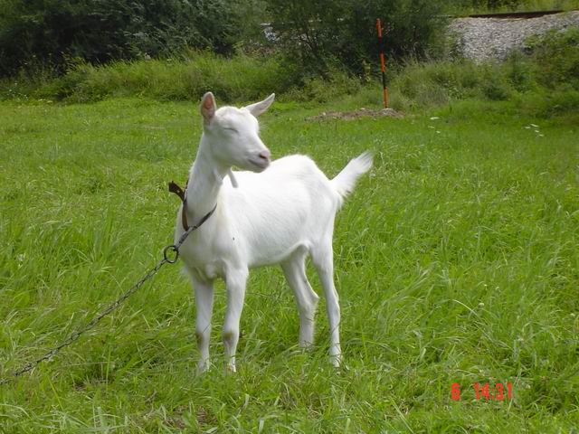 tn0003.jpg