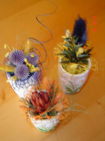 tn0023.jpg
