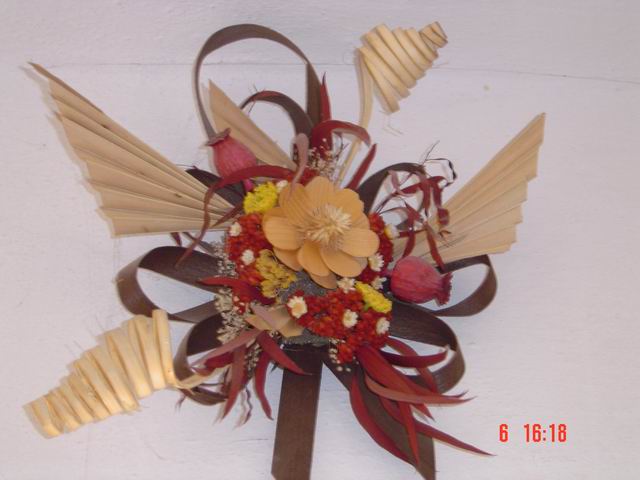 tn0024.jpg