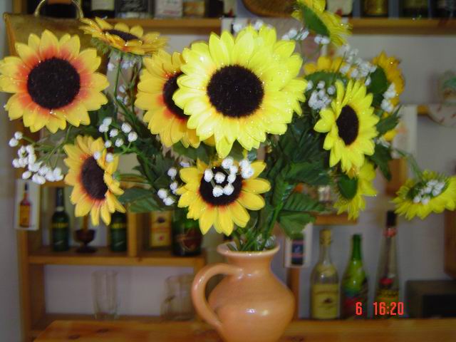 tn0025.jpg