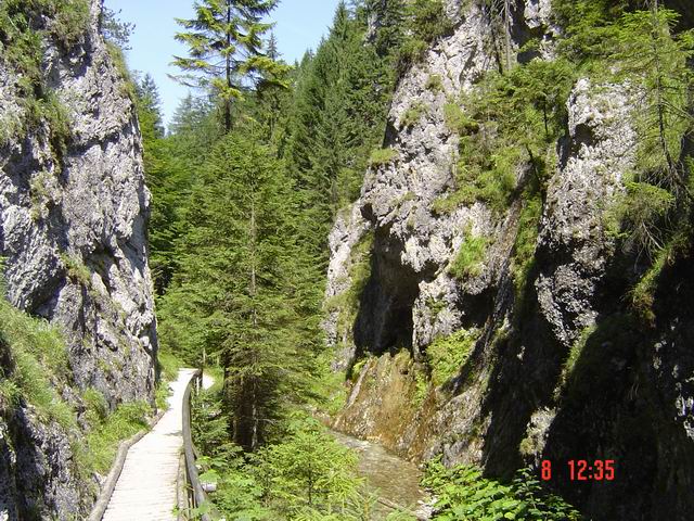 tn0002.jpg
