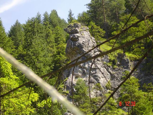tn0004.jpg