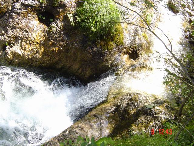 tn0006.jpg