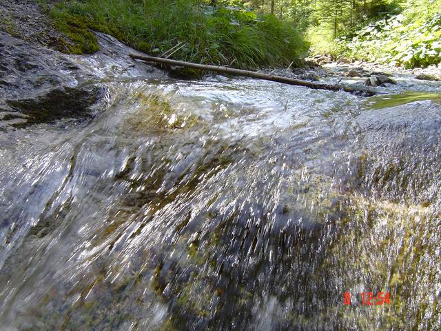 tn0009.jpg
