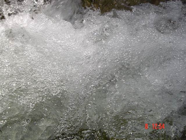 tn0010.jpg