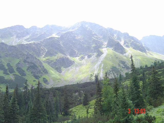 tn0003.jpg