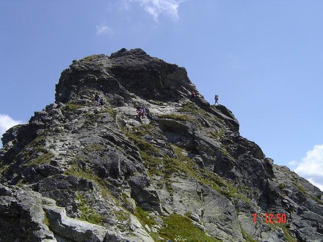 tn0025.jpg