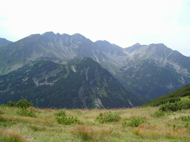 tn0006.jpg