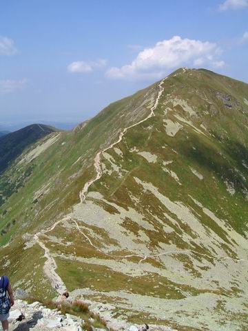 tn0006.jpg