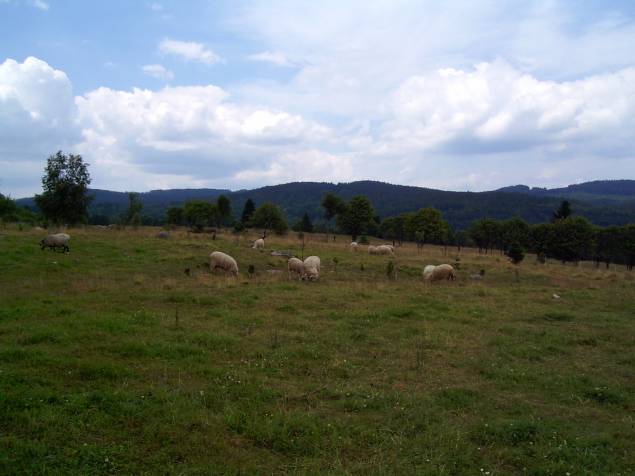 tn052.jpg