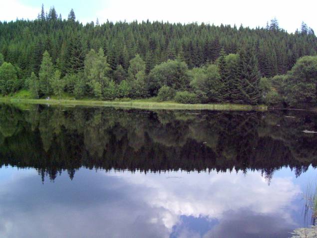 tn064.jpg