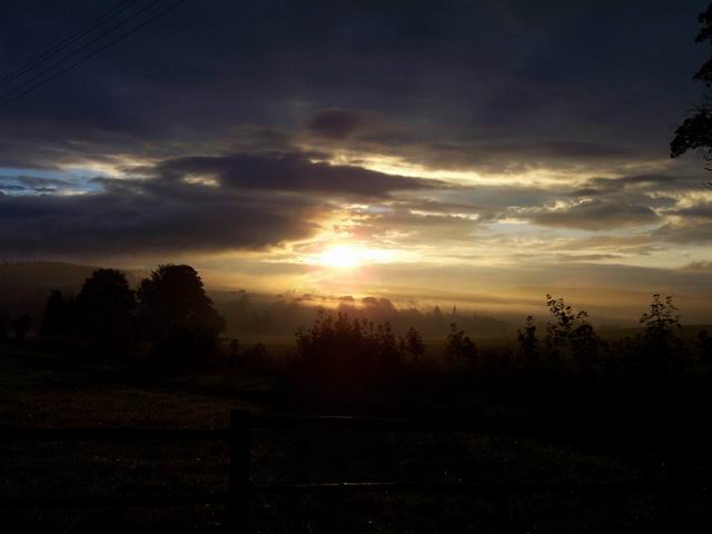 tn038.jpg