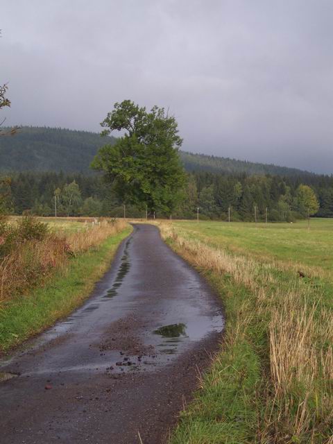 tn061.jpg