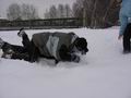 tn_4025.jpg