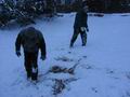 tn_4037.jpg