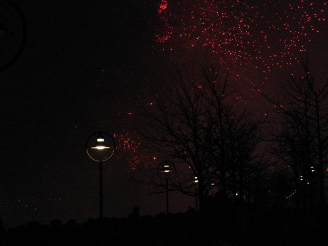 tn1242.jpg