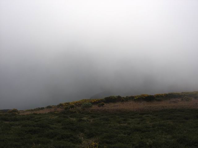 Mlha tn1378.jpg