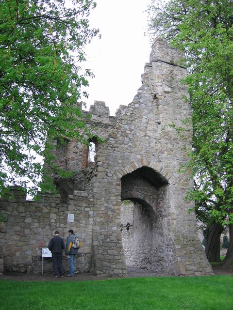 Monkstown castle tn1658.jpg