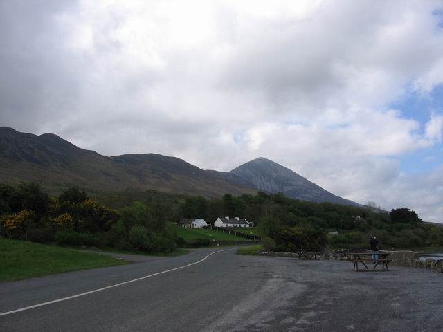 Croak Patrick tn_2175.jpg