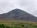 tn_2181.jpg