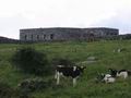 tn_2946.jpg