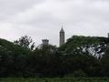 tn_3103.jpg