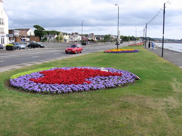 Carrickfergus tn_3452.jpg