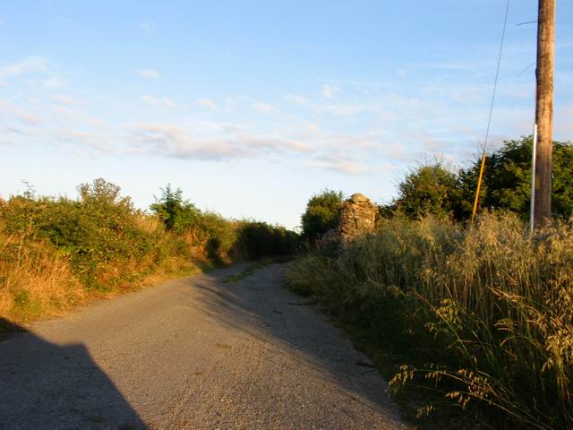 Polní cesta tn_40440.jpg