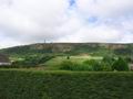 tn_3448.jpg