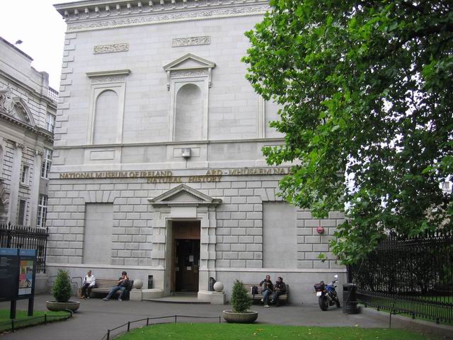 Irské přírodní národní muzeum tn_3574.jpg