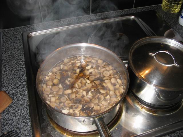 Vaření hub tn_0591.jpg