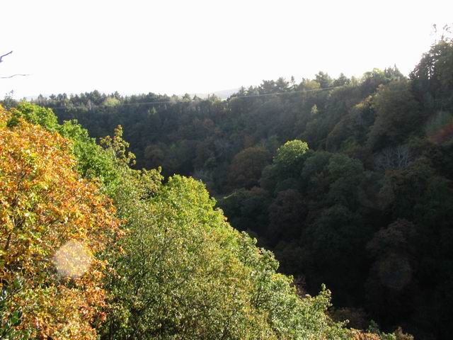 Údolí řeky tn_0708.jpg