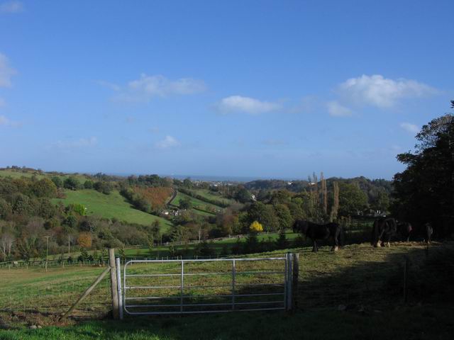 Bray tn_0713.jpg