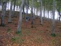 tn_0744.jpg