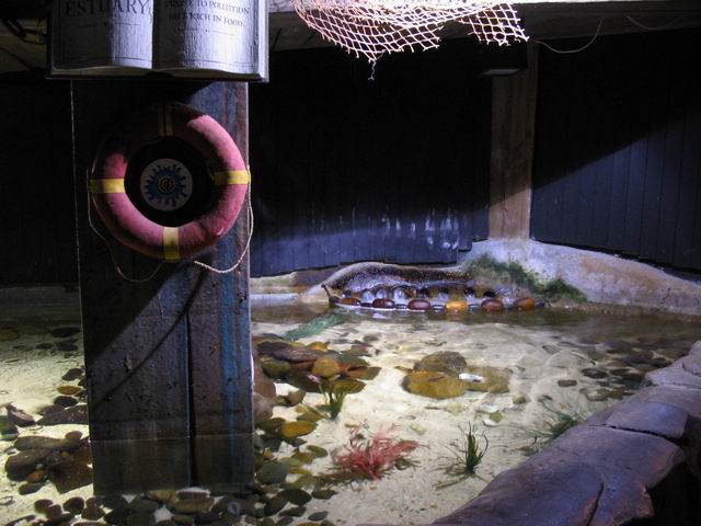 Dekorace tn_0850.jpg