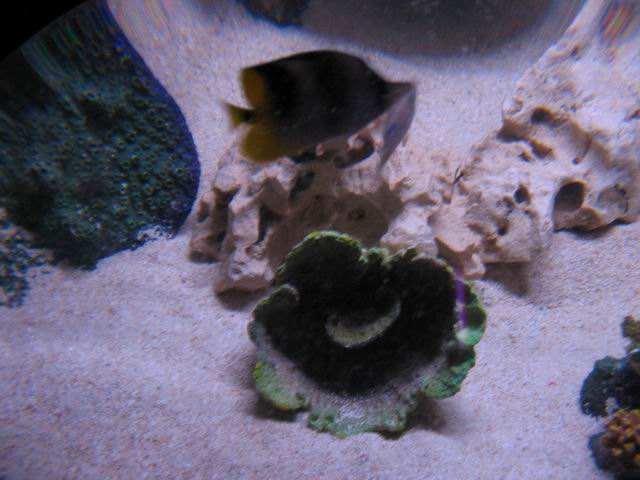 img_0887 tn_0887.jpg