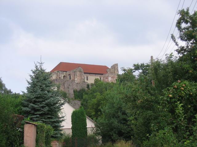 Pecka tn_6580.jpg