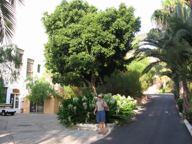 Benjamínek tn_6823.jpg