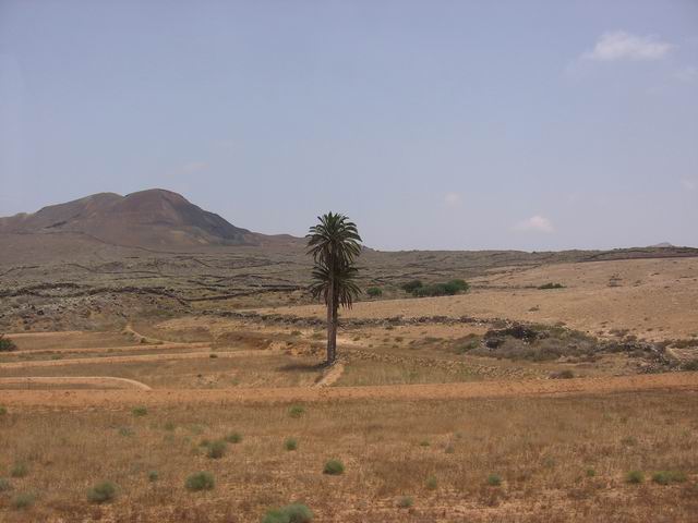 Palma tn_7053.jpg