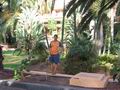 tn_6909.jpg