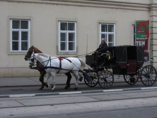 Kočár tn_0754.jpg