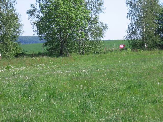 tn_1182_1181.jpg