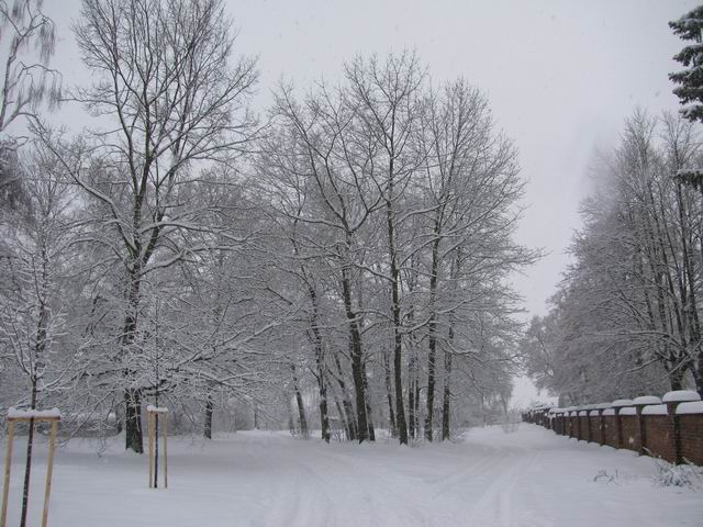 Zasněžená krajina tn_3376.jpg