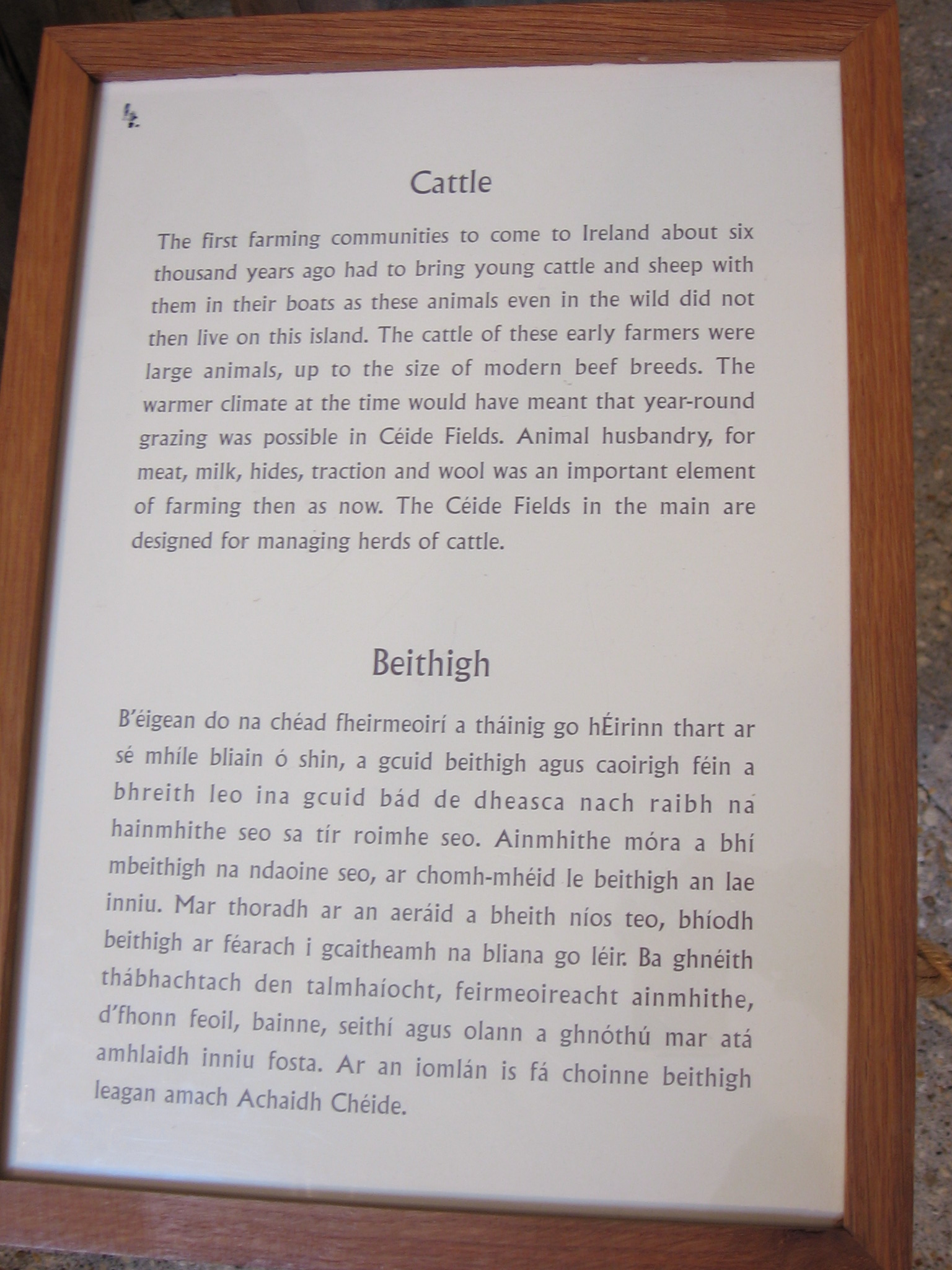 Na kliknut zave okno