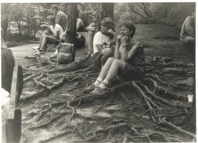 Na kliknut zave okno