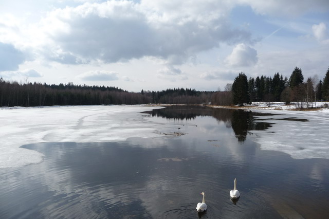 Na kliknut zave okno