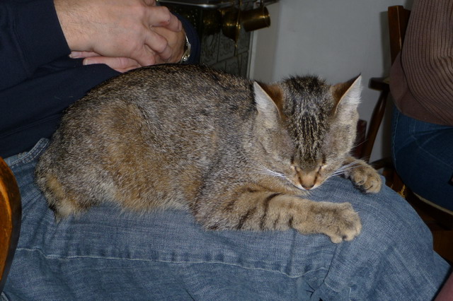 Na kliknut zave okno